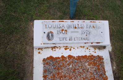 Louisa Amelia Baker